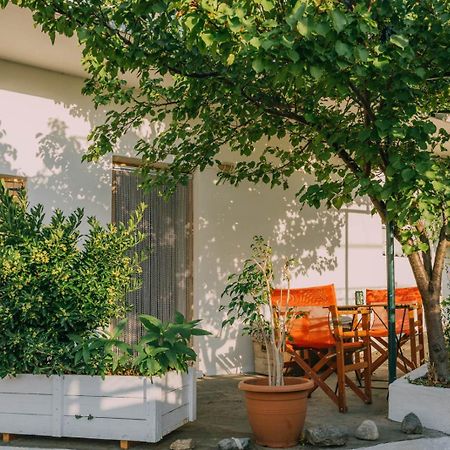 The Apricot Tree Studio Samothráki Dış mekan fotoğraf